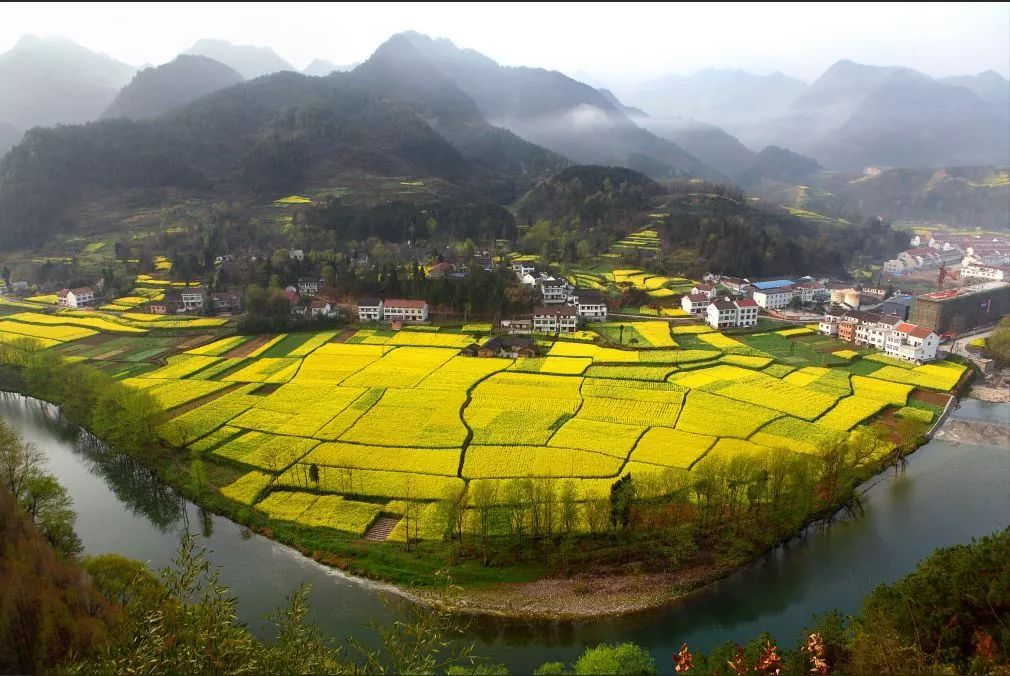 汉中最美油菜花节开幕,汉中油菜花节开幕式视频2020