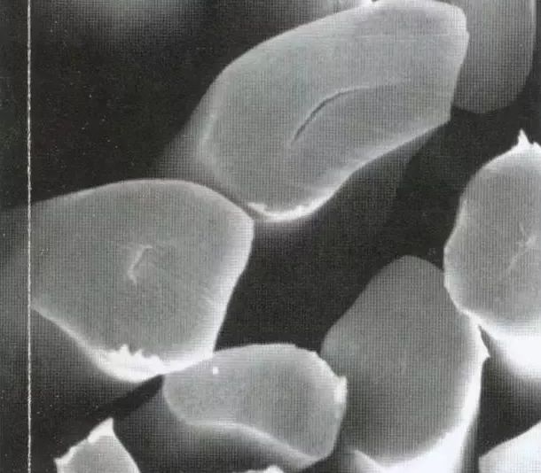 啥是丝光棉,丝光棉还有什么叫法