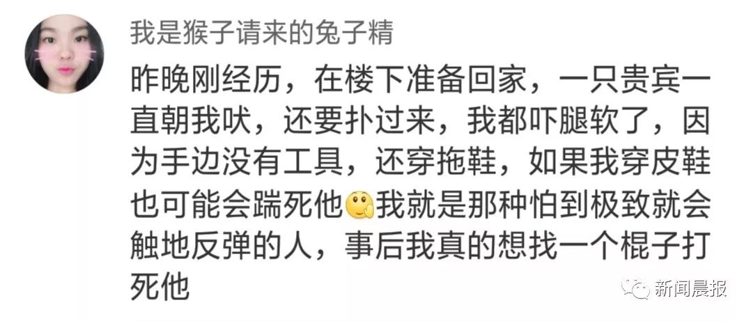 又是遛狗不牵绳！泰迪起身走了两步吓得老人摔成9级伤残，狗主人被判赔20万！