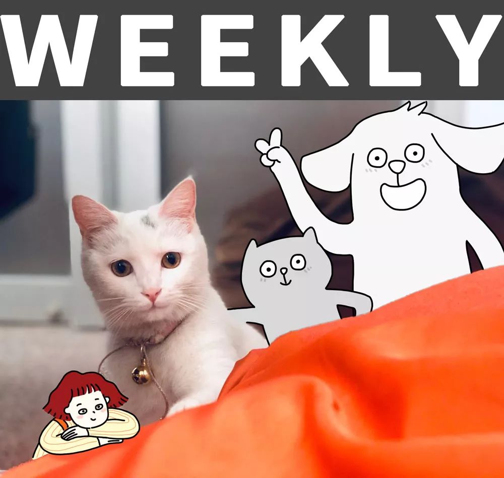 维珍航空取消航班,维珍航空开除空姐