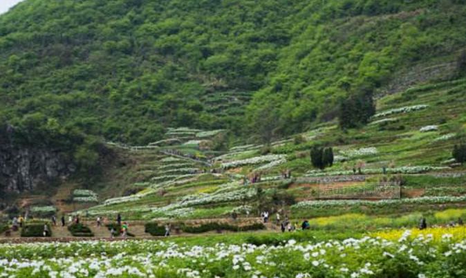 凤凰山景区门票价,凤凰山景点门票多少元