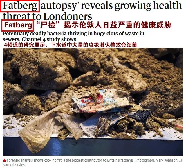 别再把炒菜费油倒水池里了!后果很恐怖