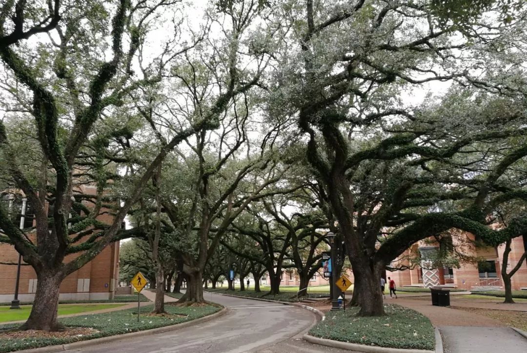 莱斯如何免于“拥巨富而死的耻辱”——美国德州莱斯大学探访随感