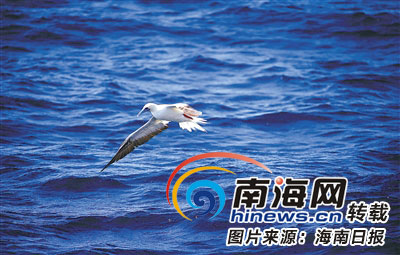 海南周刊｜知名词曲作者创作10余首“海洋风”歌曲传播海洋文化