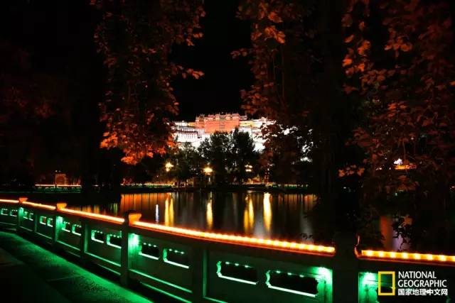 藏漂是什么,藏漂的真实生活