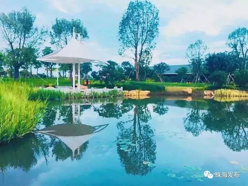 定了！石家庄将首开至珠海、嘉兴方向高铁，一路都是好风景