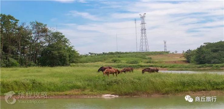 寿县古城自驾一日游攻略,淮南寿县古城免费一日游自驾推荐