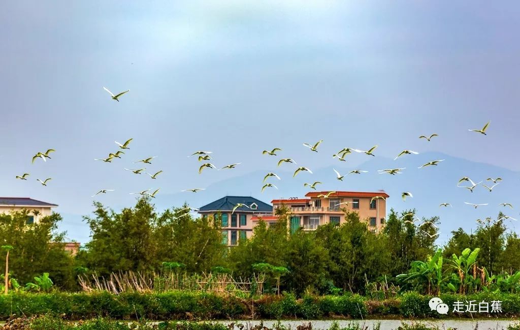 斗门为什么叫斗门,外地人眼中的斗门