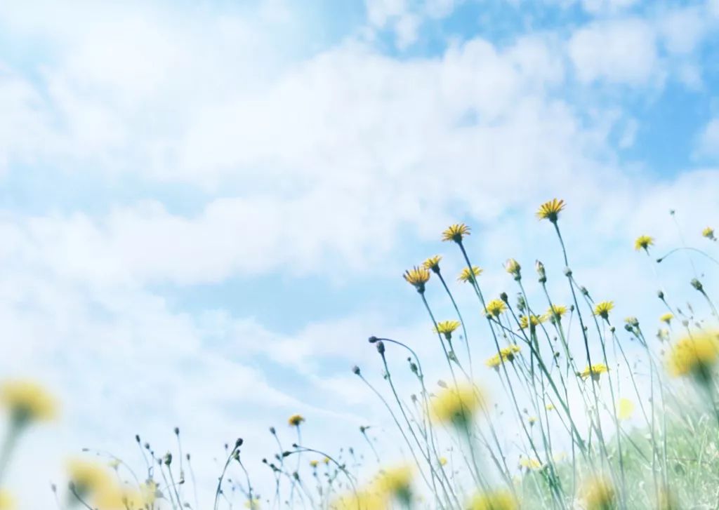 夜话丨听，这是春天的声音