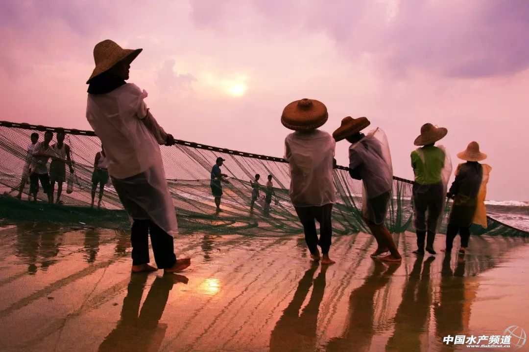 湛江最实惠的海鲜街,湛江草潭镇海鲜攻略