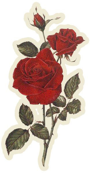 谨记冠心病的这六道防线,谨记这几个急救步骤