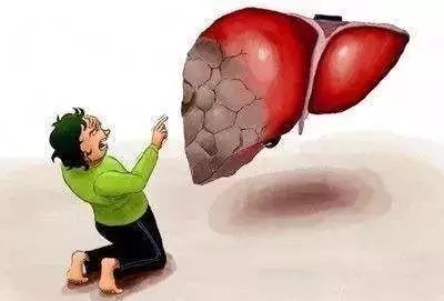 春季养肝六建议肝气血顺畅必强健,春季清肝明目养肝护肝喝什么汤好