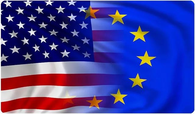 橄榄生长省份,橄榄生长在土里么