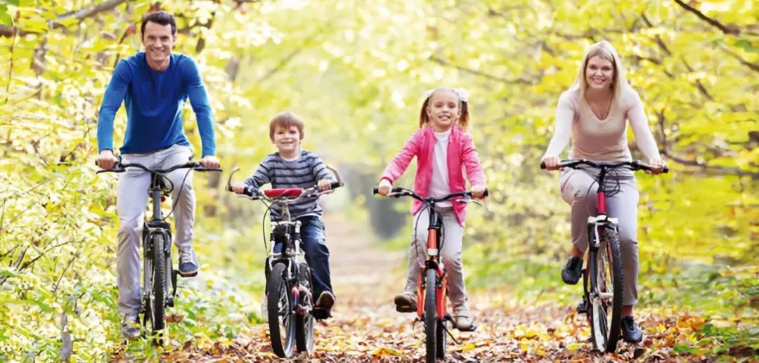 那些OfficeLady的办公室抽屉里,到底藏了多少宝藏?