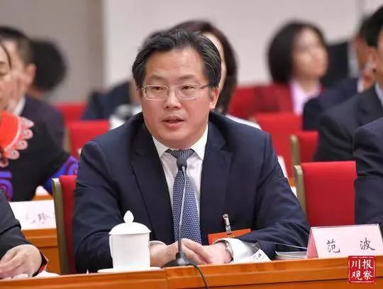 四川代表团开放了吗,四川代表团举行开放团组会议