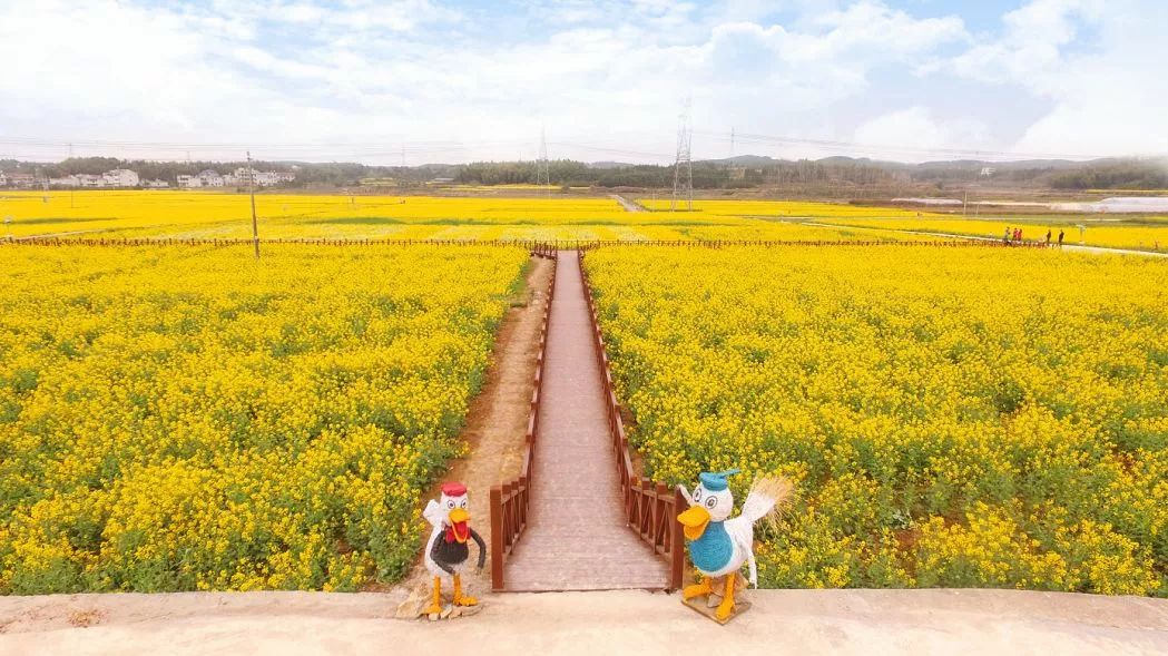 咸宁市赏花景点有哪些景区,诗意踏青春暖花开