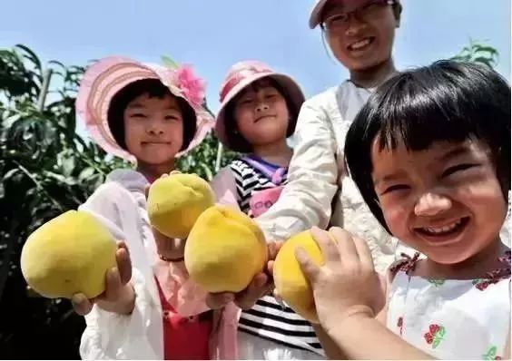 孝感未来五年发展规划,孝感的未来发展规划