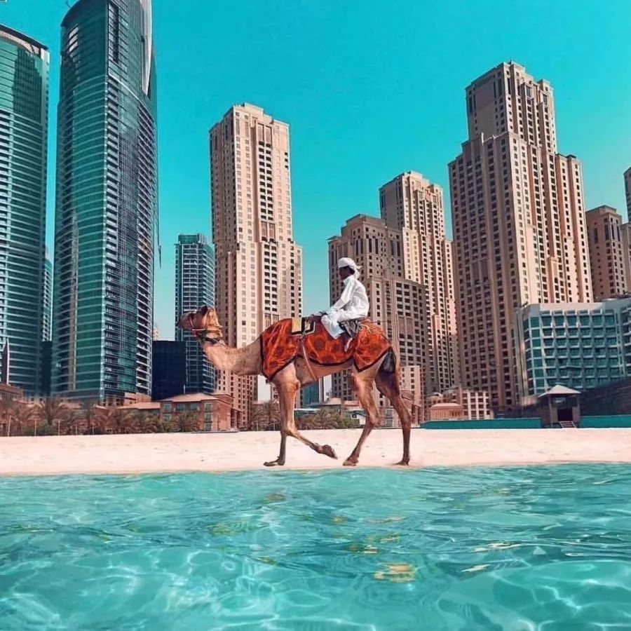 阿拉伯外贸专员招聘,阿拉伯联合代表团来华人员