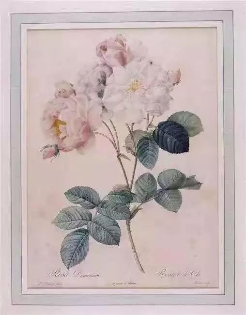 拿破仑最喜欢什么珠宝,拿破仑浪漫首饰