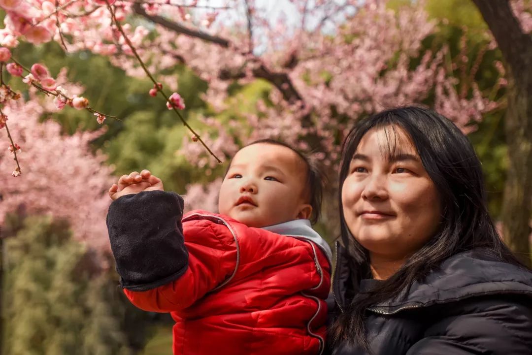 腾讯、联通、新东方都准备来华师“抢人”,本周就业讲座通知汇总,赶紧安排一下!