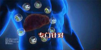 小心肝护肝茶有用吗,小心肝茶叶是什么茶