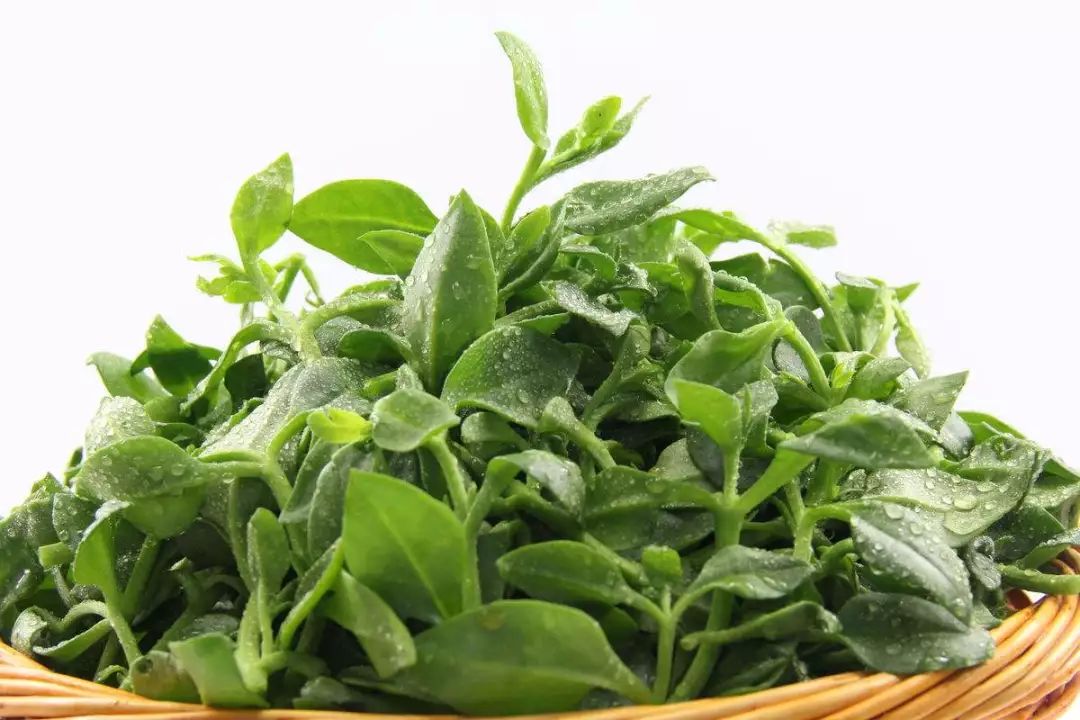 春天十大黄金野菜,中医养生必吃的9种食物