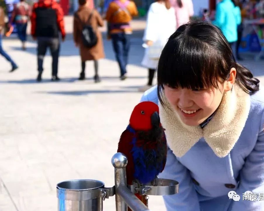 南陵县乡村旅游攻略,南陵县十大旅游景点有哪些