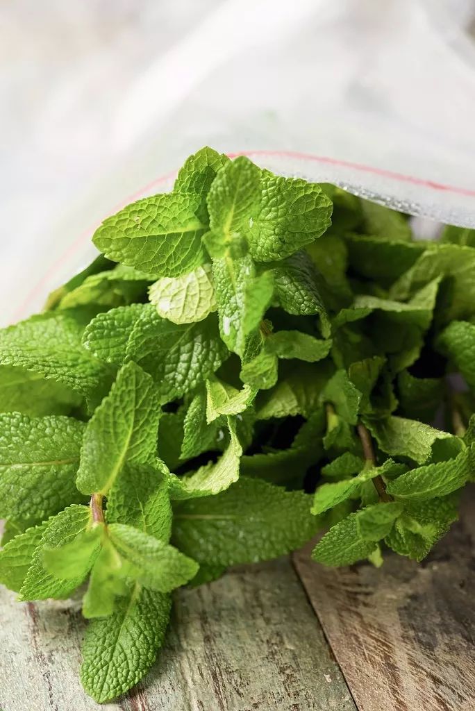 春天十大黄金野菜,中医养生必吃的9种食物