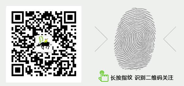 西门塔尔牛几代牛长得快,西门塔尔牛一代和四代哪种好