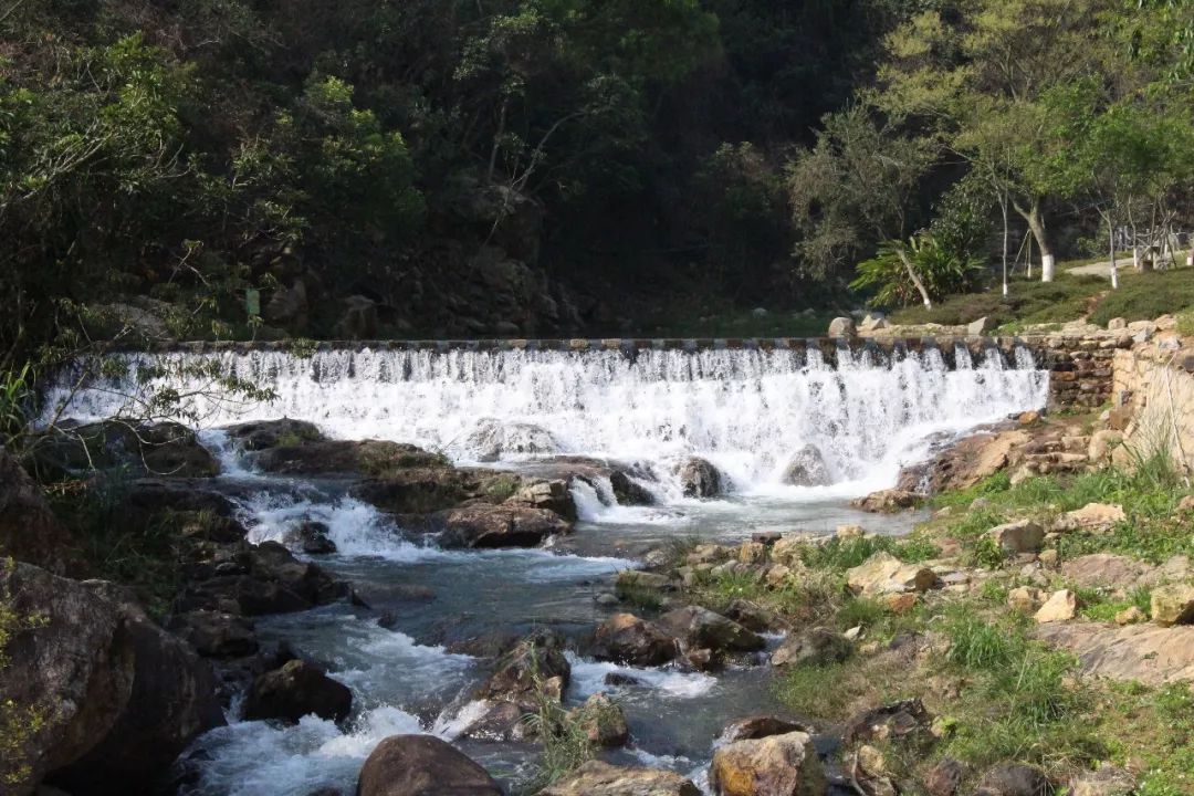 适合踏春的景点厦门,厦门春季旅游攻略