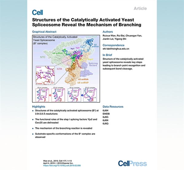 施一公科研论文,施一公研究组