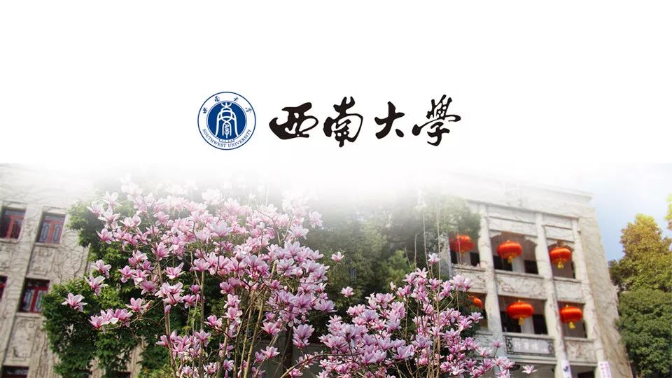 万物皆化学的作品,万物皆化学老师靠谱吗