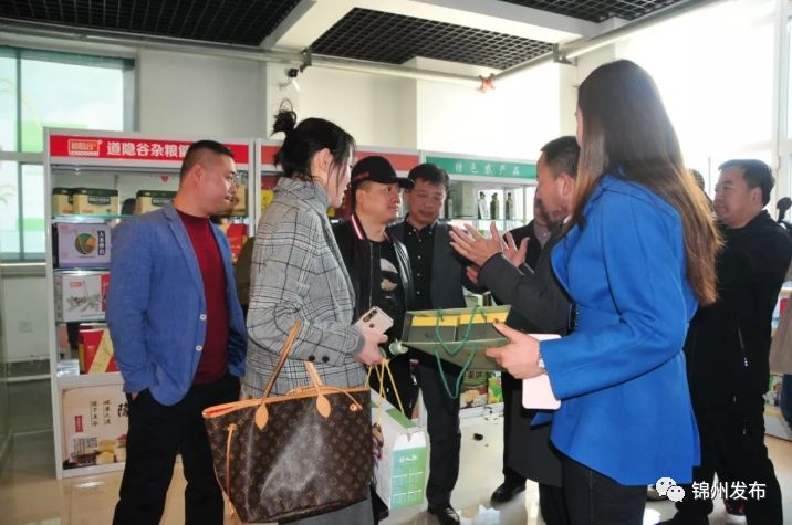 辽宁锦州2023重大项目,锦州最近重大项目