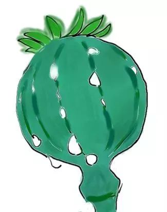 漫谈漫说,漫说禁毒漫画