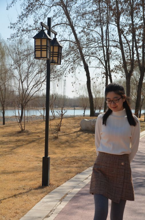 减河暗沟,减河简介