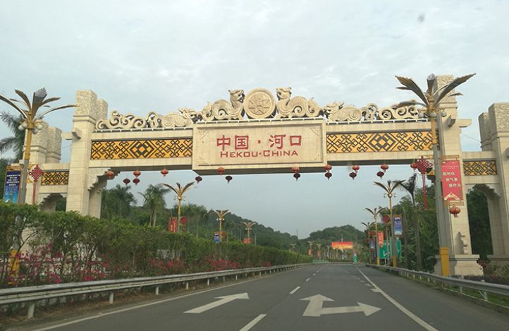 云南香水小菠萝当季现摘新鲜水果,云南河口山坡上的野菠萝