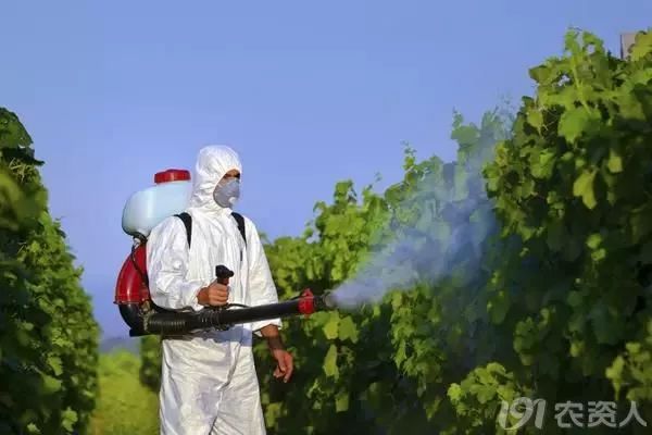 己唑醇能代替戊唑醇来控旺吗,噻呋己唑醇能和戊唑醇混用吗