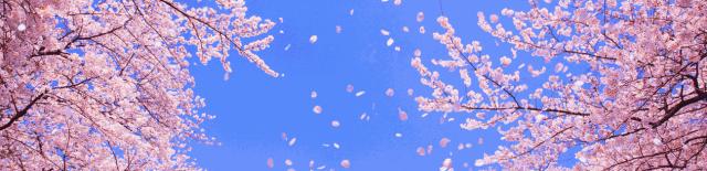 2022中考英语必背1600单词文档,中考英语阅读理解真题100篇及答案