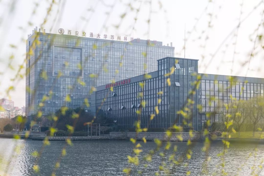 怎样加快绿色转型,如何加快绿色转型升级