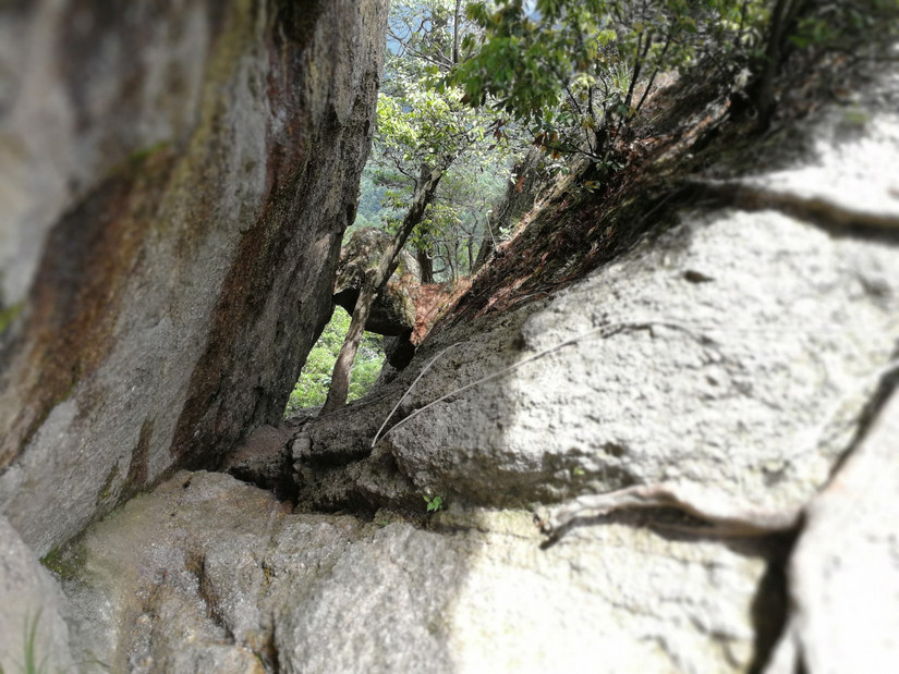 搁船尖登顶难度,搁船尖天目山光明顶