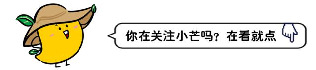 上海外国语大学三亚附属中学招聘教师,三亚上海外国语大学附属学校招聘
