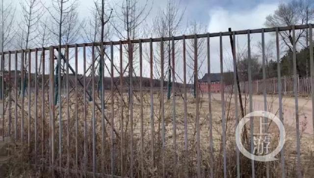 九岁男童在吉林一国学学校病亡，校方：你们家杀业太重！