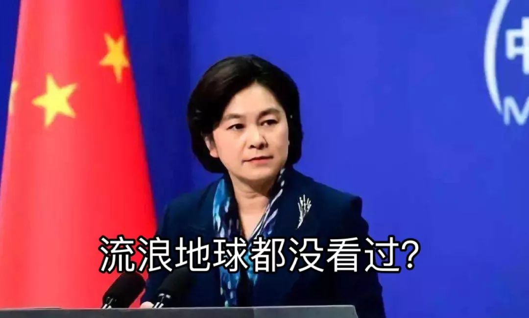 女外交官华春莹怒怼美国,华春莹外交霸气回应