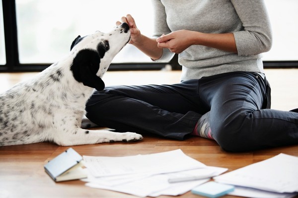 小孩大便里有细小的虫是什么原因,小孩的粪便有小白虫
