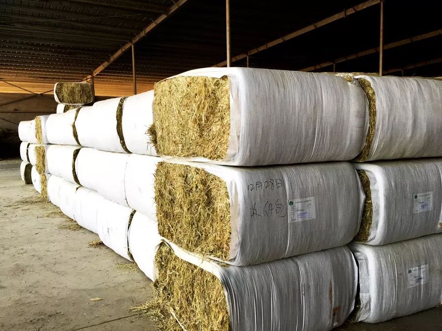 为了孩子能喝上新鲜的奶,让孩子喝上放心的牛奶就那么难吗