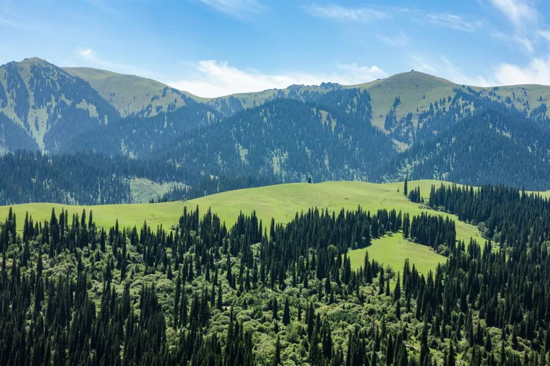 中国897个国家森林公园