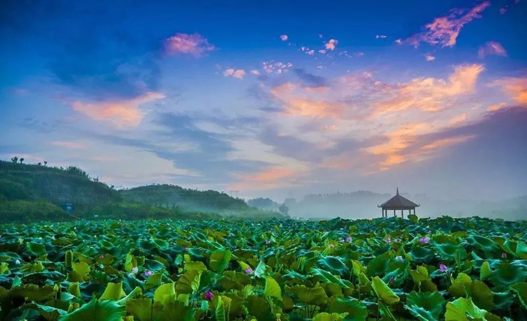 端午节哪里好玩贵州贵阳,贵州端午节哪个地方最热闹