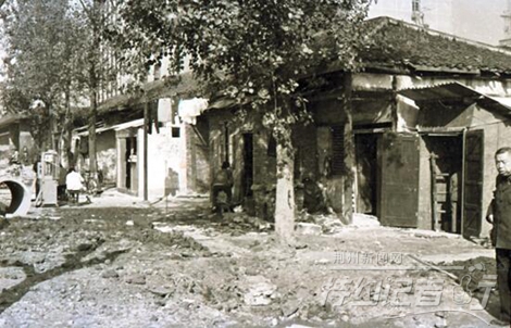 特约记者行最新视频,特约记者行俯瞰荆州醉美油菜花海