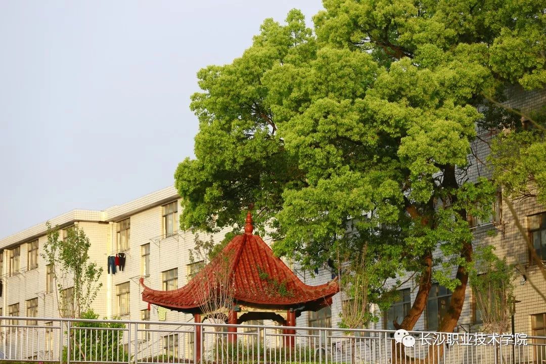 【长职热点】我们在长职机汽分院等你！