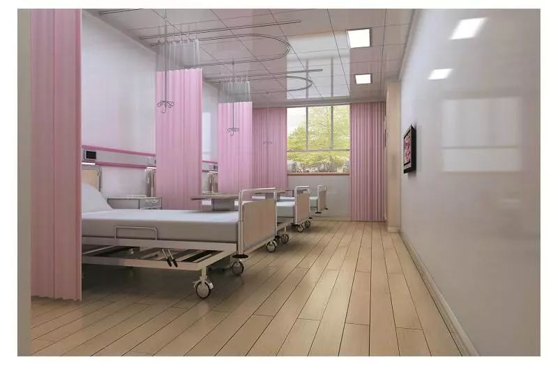 康巴什绿化带植物,康巴什过敏